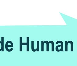 Plasmodium life cycle (malaria)