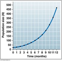 Graph of exponential population growth