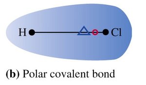Polar covalent bond in HCl
