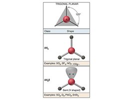 Trigonal planar vs bent geometry