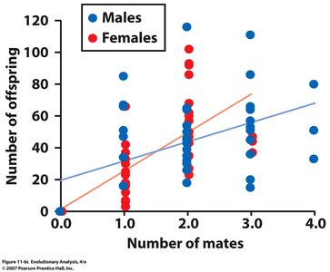 Scatterplot of number of mates vs. number of offspring in pipefish