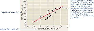Scatter plot example with regression line