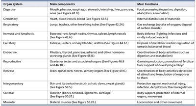 Table of organ systems in mammals