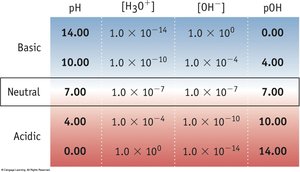 pH scale with common substances