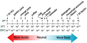 pH and pOH equations