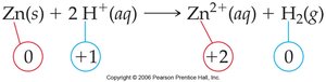 Oxidation and reduction half-reactions
