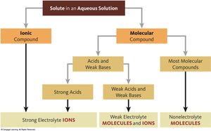 Classification of solutes in aqueous solution: ionic vs molecular compounds