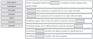 Genetics terminology fill-in-the-blank