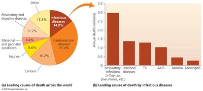 Pie chart and bar graph showing leading causes of death and deaths by infectious diseases