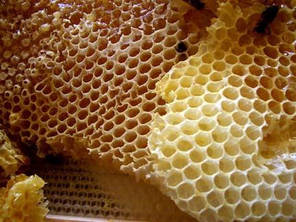 Honeycomb structure