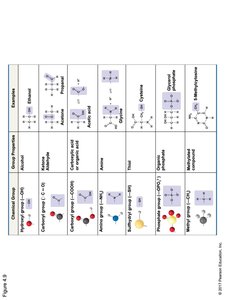 Table of functional groups: sulfhydryl, phosphate, methyl