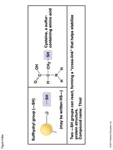 ATP hydrolysis reaction showing energy release