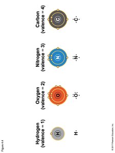 Valence electrons of carbon, nitrogen, oxygen, and hydrogen