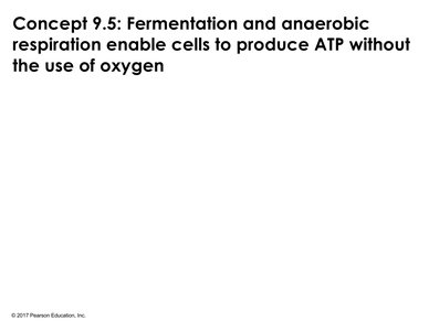 Fermentation and anaerobic respiration concept