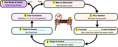 Flowchart of the scientific method