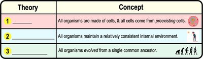 Summary table of basic theories of biology