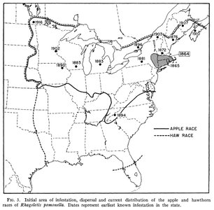 Distribution map of apple and hawthorn races of Rhagoletis pomonella