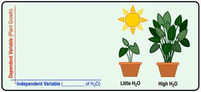 Graph of plant growth vs. water