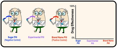 Drug effectiveness experiment with controls
