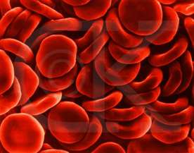 Red blood cells
