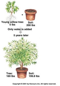Diagram of light reactions and Calvin cycle