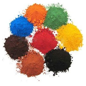 Chloroplast reflecting and transmitting light