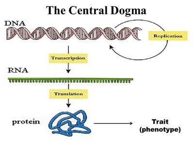 Structure and function relationship