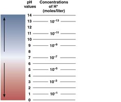 pH scale showing pH values and corresponding hydrogen ion concentrations