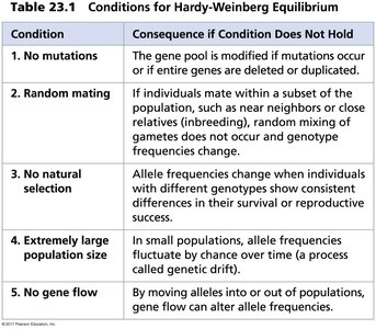 Hardy-Weinberg equation