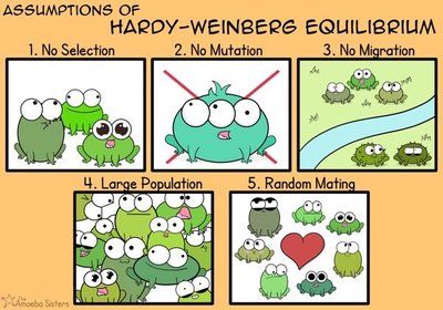Table of Hardy-Weinberg conditions
