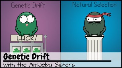 Genetic drift and natural selection cartoon