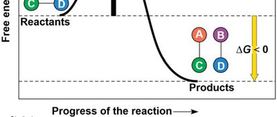 Activation energy barrier