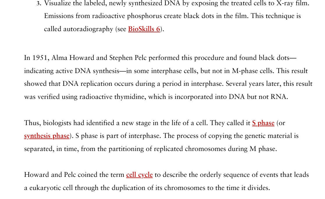 Autoradiography experiment showing DNA synthesis in interphase cells