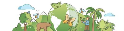 Illustration of biodiversity including plants, animals, and ecosystems