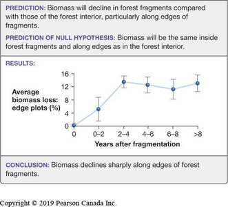 Graph showing biomass loss at forest edges after fragmentation