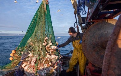 Commercial fishing operation