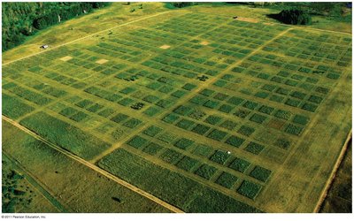Experimental plots at Cedar Creek Natural History Area