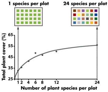 Graph showing relationship between species richness and plant cover