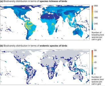 Global maps of bird species richness and endemism