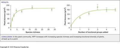 Graphs showing NPP increases with species richness and functional diversity