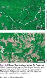 Satellite images showing deforestation over time in Brazil