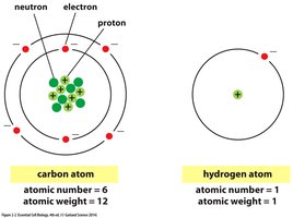 Atomic structure of carbon and hydrogen