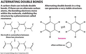 Water molecule polarity and charge distribution