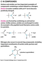 Hydrophilic molecules: ionic and polar