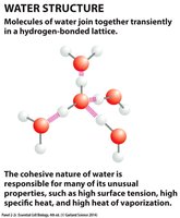 Hydrogen ion exchange in water
