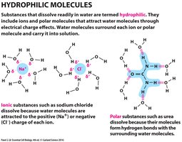 pH scale and hydrogen ion concentration