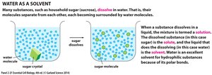 Monosaccharide structures
