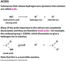 Ring formation in glucose and ribose