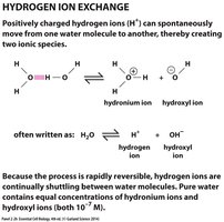 Isomers of monosaccharides