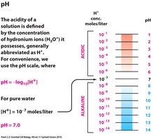 Alpha and beta links in sugars
